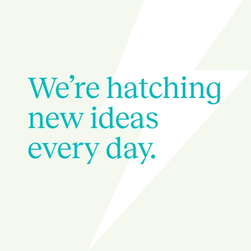 Brand Strip - Hatching New Ideas